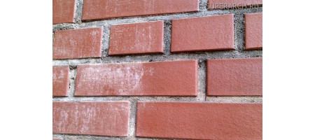 Чому з'являється висол на облицювальній цегли